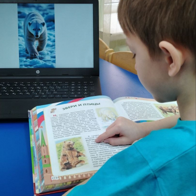 5264803416209299954 121